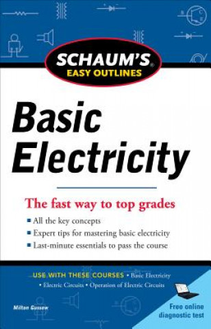 Schaums Easy Outline of Basic Electricity Revised
