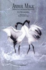 Animal Magic