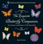 Exquisite Butterfly Companion