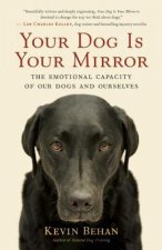 Your Dog is Your Mirror