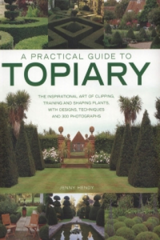 Practical Guide to Topiary