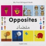 My First Bilingual Book - Opposites: English-Urdu