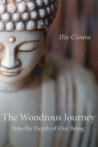 Wondrous Journey