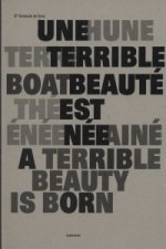 11th Lyon Biennale - A Terrible Beauty is Born