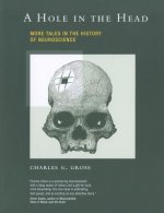Hole in the Head