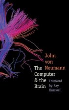 Computer and the Brain