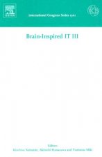 Brain-Inspired IT III