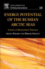 Energy Potential of the Russian Arctic Seas