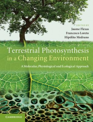 Terrestrial Photosynthesis in a Changing Environment