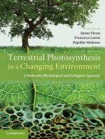 Terrestrial Photosynthesis in a Changing Environment