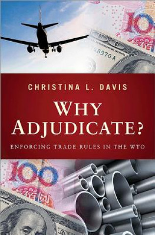 Why Adjudicate?