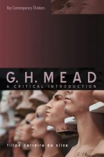 G H Mead - A Critical Introduction