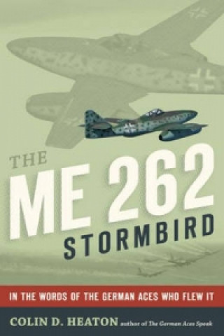 Me 262 Stormbird