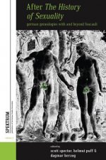 After <i>The History of Sexuality</i>