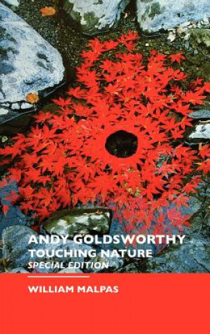 Andy Goldsworthy (William Malpas)()