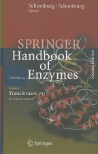 Class 2 Transferases VII