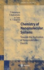 Chemistry of Nanomolecular Systems