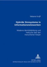 Hybride Sinnsysteme in Informationsnetzwerken