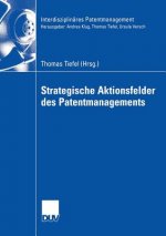 Strategische Aktionsfelder Des Patentmanagements