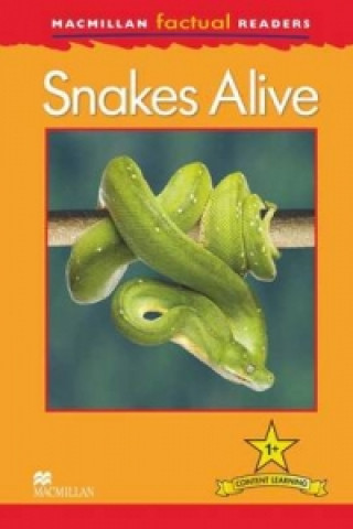 Macmillan Factual Readers: Snakes Alive