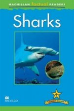 Macmillan Factual Readers: Sharks