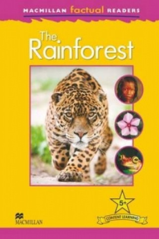 Macmillan Factual Readers: The Rainforest