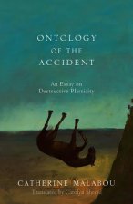 Ontology of the Accident - An Essay on Destructive  Plasticity