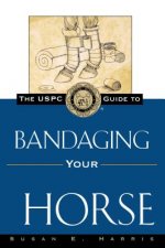 USPC Guide to Bandaging Your Horse