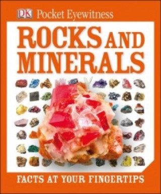 DK Pocket Eyewitness Rocks and Minerals