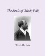 Souls of Black Folk