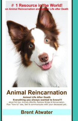 Animal Reincarnation