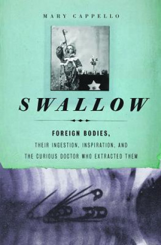 Swallow