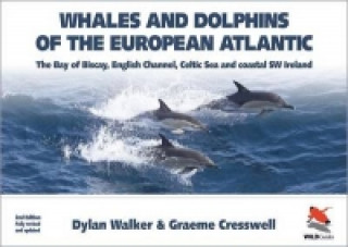 Whales and Dolphins of the European Atlantic - The Bay of Biscay, English Channel, Celtic Sea, and Coastal Southwest Ireland, Fully Updated 2e