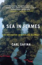 Sea in Flames