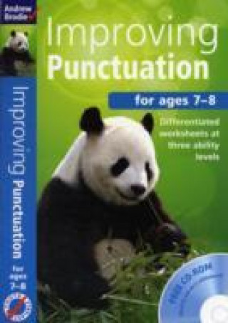 Improving Punctuation 7 8