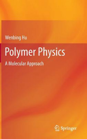 Polymer Physics