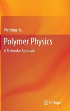 Polymer Physics