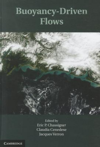 Buoyancy-Driven Flows