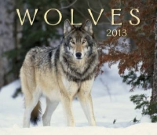 Wolves 2013 Calendar