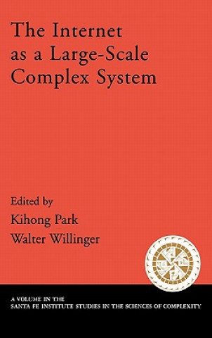 Internet As a Large-Scale Complex System