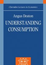 Understanding Consumption