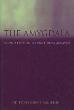 Amygdala