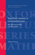 Hyperbolic Systems of Conservation Laws