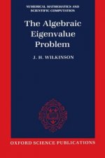 Algebraic Eigenvalue Problem