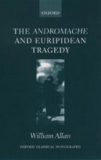 Andromache and Euripidean Tragedy