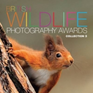 British Wildlife Photography Awards: Collection 3