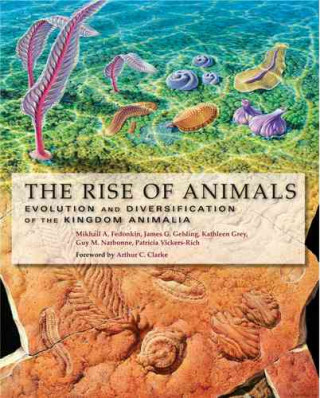 Rise of Animals