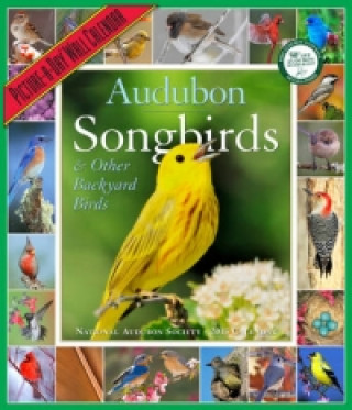 Audubon Songbirds & Other Backyard Birds Calendar 2013