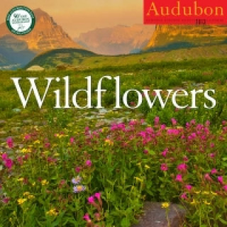 Audubon Wildflowers Calendar 2013