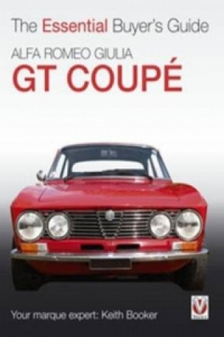 Essential Buyers Guide Alfa Romeo Giulia Gt Coupe